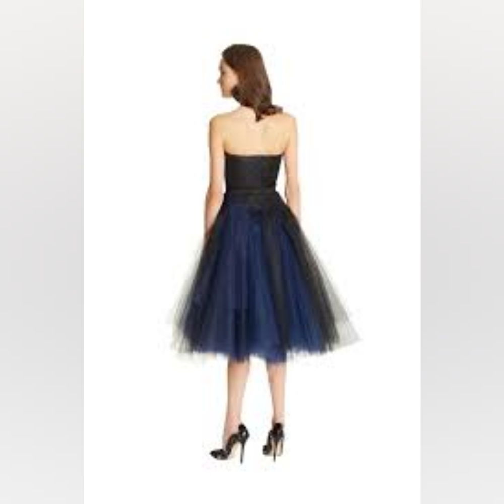 $5,700 OSCAR DE LA RENTA EXCLUS SILK LINED BLUE BLACK TULLE RUNWAY DRESS US 0 - Picture 11 of 13